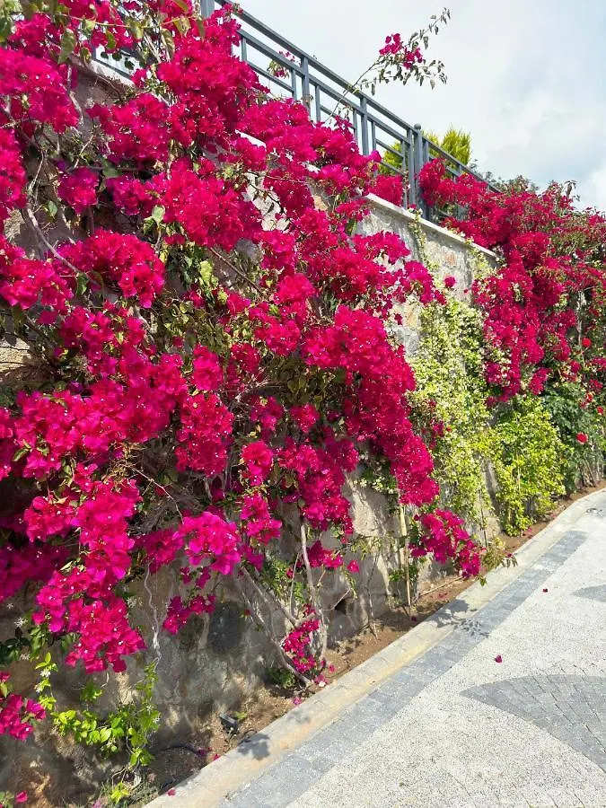 Villa Falcon With Swimming Pool And Great Views In Yalikavak Bodrum